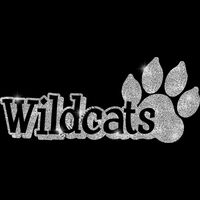 GLT17 SILVER GLITTER Thumbnail