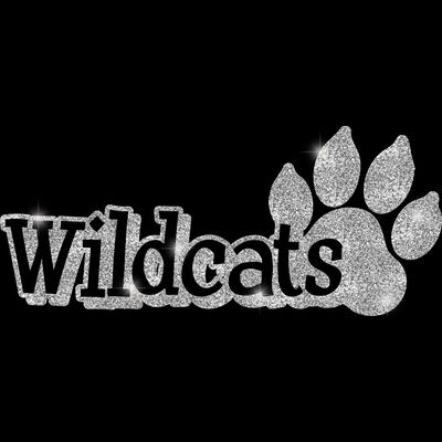 GLT17 SILVER GLITTER Thumbnail