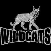 GLT32 SILVER GLITTER Thumbnail