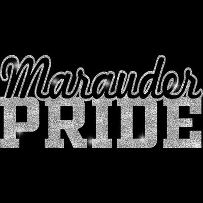 GLT59 SILVER GLITTER Thumbnail