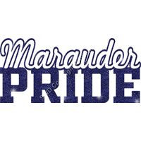 GLT59 BLUE GLITTER Thumbnail